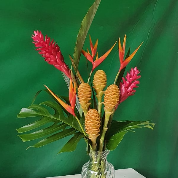 TROPYFLORA: Flores e folhagens tropicais para iluminar a vida | Uran  Rodrigues