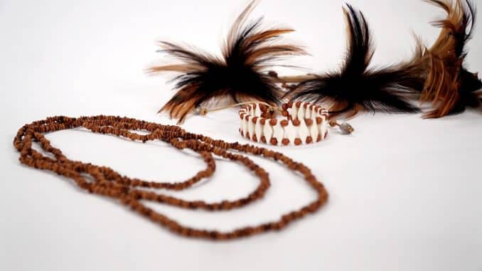 Indigena 10