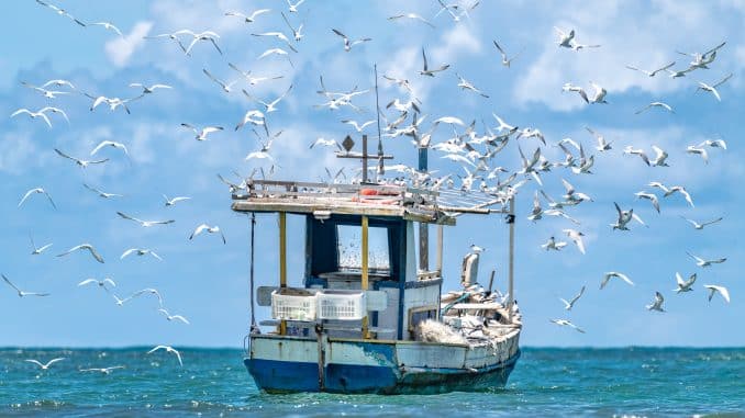 EM04032022-7529-Editarrr3 (1)